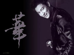 刘德华歌曲（刘德华歌曲大全）