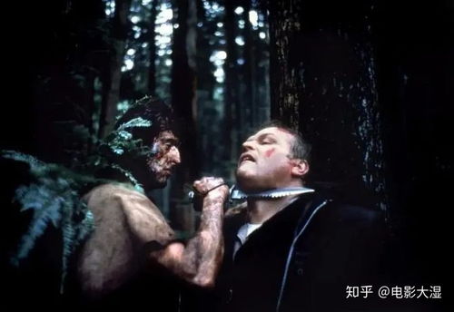 100部特种兵电视剧大全最新（15部必看特种部队电视剧）