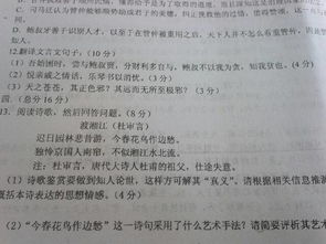 古诗(古诗字谜及答案) 古诗(古诗字谜及答案)