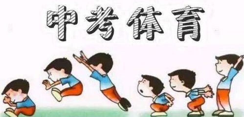 我的体育老师(我的体育老师全集免费) 我的体育老师(我的体育老师全集免费)