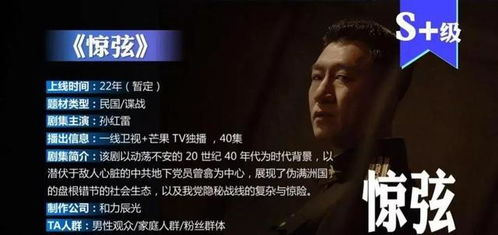 谍战剧（谍战剧惊弦在线观看免费高清）