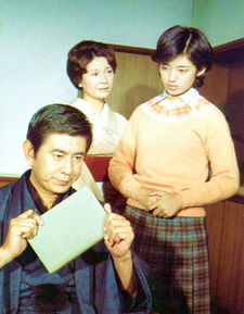 日本经典一电视剧（日本经典电视剧血疑）