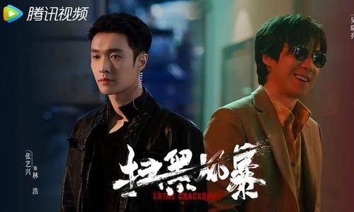 电视剧扫黑风暴（电视剧扫黑风暴全集）