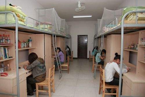 《哺乳全宿舍》动漫（哺乳全宿舍家具）