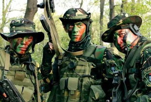 15部必看特种部队电视剧中国（十部必看特种部队电视剧中国）