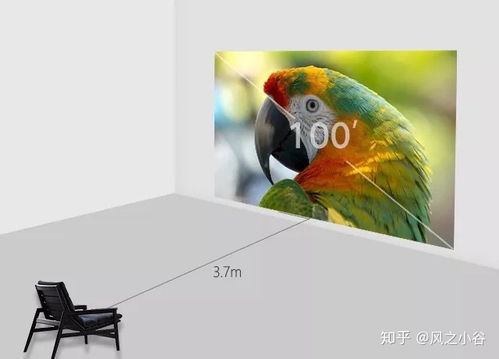 2022公认口碑最好的电视机（2020目前口碑最好的电视机）