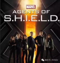 二十部必看美剧推荐(必看的美剧电影排行榜) 二十部必看美剧推荐(必看的美剧电影排行榜)