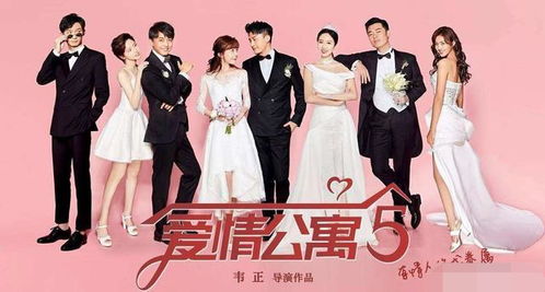 爱情公寓5在哪看（爱情公寓5哪里看免费）