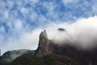 除却巫山不是云(除却巫山不是云是谁写的) 除却巫山不是云(除却巫山不是云是谁写的)