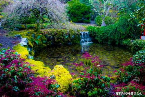 我的秘密小花园(我的秘密花园百度百科) 我的秘密小花园(我的秘密花园百度百科)