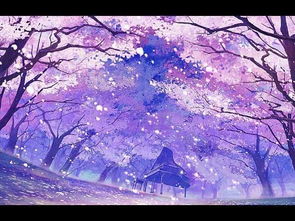 樱花动漫官网（樱花动漫官网门户网站入口）