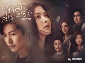 往日情怀电视剧免费观看（往日情怀迅雷）