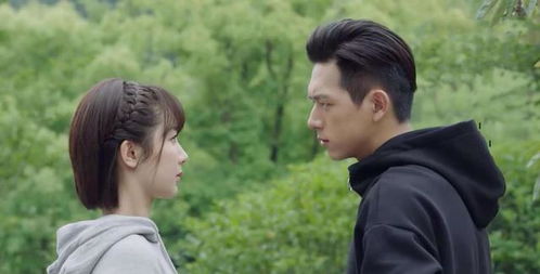 亲爱的生命电视剧免费观看（亲爱的生命电视剧免费观看TC）