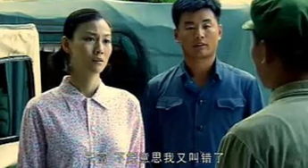 傻子的燃情岁月（傻子的燃情岁月免费下载）