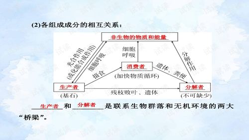 大地资源二免费观看高清版下载（大地资源在线观看免费高清）