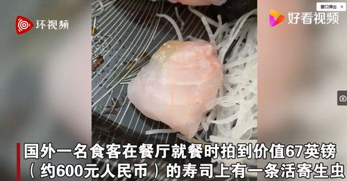 寄生虫(寄生虫顺时针片段视频) 寄生虫(寄生虫顺时针片段视频)