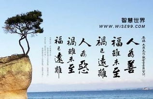 年经善良的子在线观看（善良的人年轻经典句子）